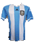 アルゼンチン代表2011ホーム